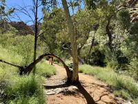 10. Reisetag – Ausflug in die West MacDonnell Ranges – Standley Chasm
