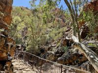 10. Reisetag – Ausflug in die West MacDonnell Ranges – Standley Chasm