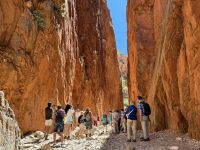 10. Reisetag – Ausflug in die West MacDonnell Ranges – Standley Chasm
