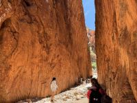 10. Reisetag – Ausflug in die West MacDonnell Ranges – Standley Chasm