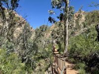10. Reisetag – Ausflug in die West MacDonnell Ranges – Standley Chasm