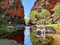 10. Reisetag – Ausflug in die West MacDonnell Ranges – Spaziergang zur Simpsons Gap