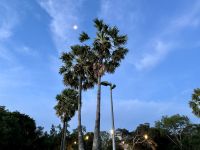 11. Reisetag – Ankunft in Darwin – Sonnenuntergang an der Esplanade