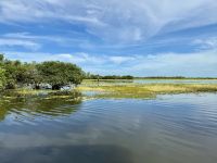 13. Reisetag – Bootstour auf dem South Alligator River im Kakadu-Nationalpark