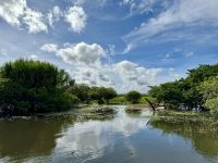 13. Reisetag – Bootstour auf dem South Alligator River im Kakadu-Nationalpark