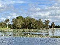13. Reisetag – Bootstour auf dem South Alligator River im Kakadu-Nationalpark