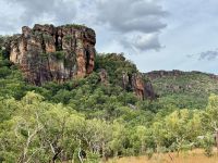 13. Reisetag – Kakadu-Nationalpark – Sandsteinfelsen