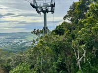 15. Reisetag – Tagesausflug in den Regenwald – Skyrail nach Kuranda