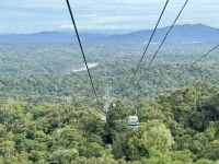 15. Reisetag – Tagesausflug in den Regenwald – Skyrail nach Kuranda