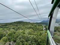15. Reisetag – Tagesausflug in den Regenwald – Skyrail nach Kuranda