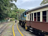 15. Reisetag – Tagesausflug in den Regenwald – Mit der Kuranda Scenic Railway zurück nach Cairns