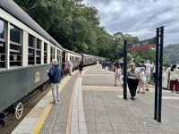 15. Reisetag – Tagesausflug in den Regenwald – Mit der Kuranda Scenic Railway zurück nach Cairns – Barron Falls