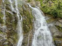 15. Reisetag – Tagesausflug in den Regenwald – Mit der Kuranda Scenic Railway zurück nach Cairns