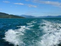 16. Reisetag – Tagesausflug zum Great Barrier Reef – Fahrt mit dem Katamaran zum Michaelmas Cay