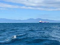 16. Reisetag – Tagesausflug zum Great Barrier Reef – Fahrt mit dem Katamaran zum Michaelmas Cay