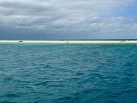 16. Reisetag – Tagesausflug zum Great Barrier Reef – Die kleine Insel „Michaelmas Cay“
