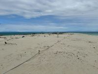 16. Reisetag – Tagesausflug zum Great Barrier Reef – Die kleine Insel „Michaelmas Cay“