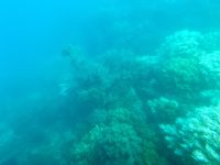 16. Reisetag – Tagesausflug zum Great Barrier Reef – Fahrt mit dem Halbtauchboot