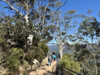 20. Reisetag – Tagesausflug in die Blue Mountains – Spaziergang zu den Three Sisters