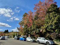 20. Reisetag – Tagesausflug in die Blue Mountains – „Indian Summer“ in Leura