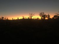 Sonnenaufgang Uluru-Ayers Rock