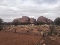 Kata Tjuta-Felskuppeln