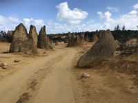 Nambung Nationalpark-Pinnacles