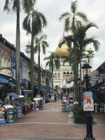 Muslimisches Viertel-Singapur 
