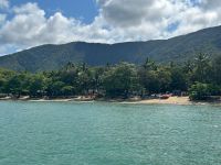 Palm Cove Beach