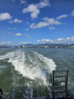 Auf zum Great Barrier Reef!!!