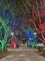 Abendspaziergang durch Cairns 