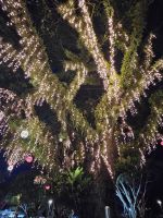 Abendspaziergang durch Cairns zum Restaurant