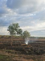 vorbei an zahlreichen Buschfeuern