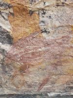 Felsmalereien (Fisch in Röntgentechnik)