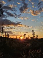 Sonnenaufgang am Uluru