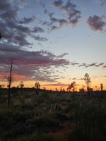 Sonnenaufgang am Uluru