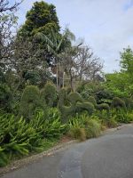 botanischer Garten Melbourne