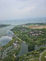 Aussicht auf die Gardens by the Bay