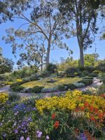 botanischer Garten Perth