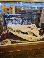 Auf dem Weg in die Nationalparks