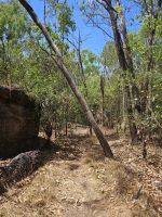 Spaziergang durch den Busch im Kakadu Nationalpark