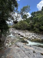 Cairns: Tagesausflug Mossman Gorge mit Mossman River