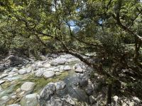 Cairns: Tagesausflug Mossman Gorge mit Mosmann River