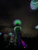 Singapur: Super Trees
