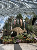 Singapur: Flower Dome