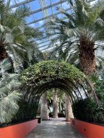 Singapur: Flower Dome