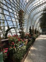 Singapur: Flower Dome