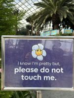 Singapur: Flower Dome