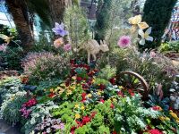 Singapur: Flower Dome