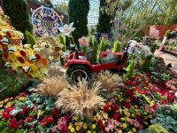 Singapur: Flower Dome
